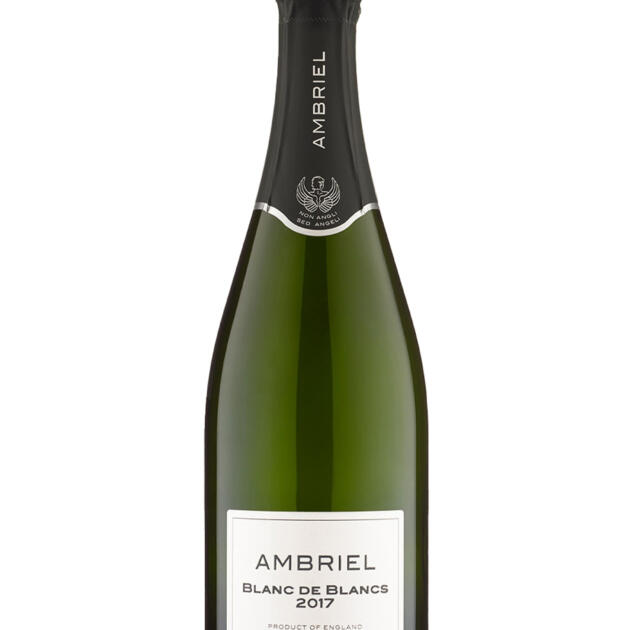 Ambriel Blanc de Blancs Brut Traditional Method 2017 English Sparking Wine 75cl